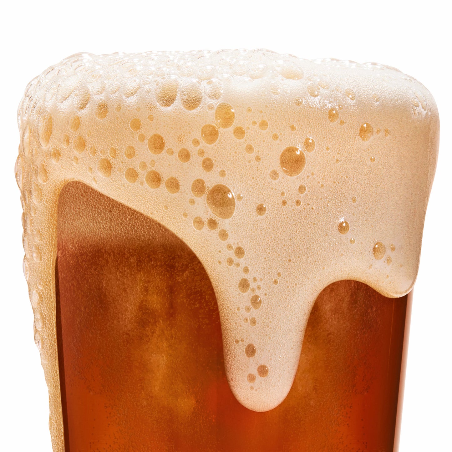 Best Day Brewing - West Coast IPA