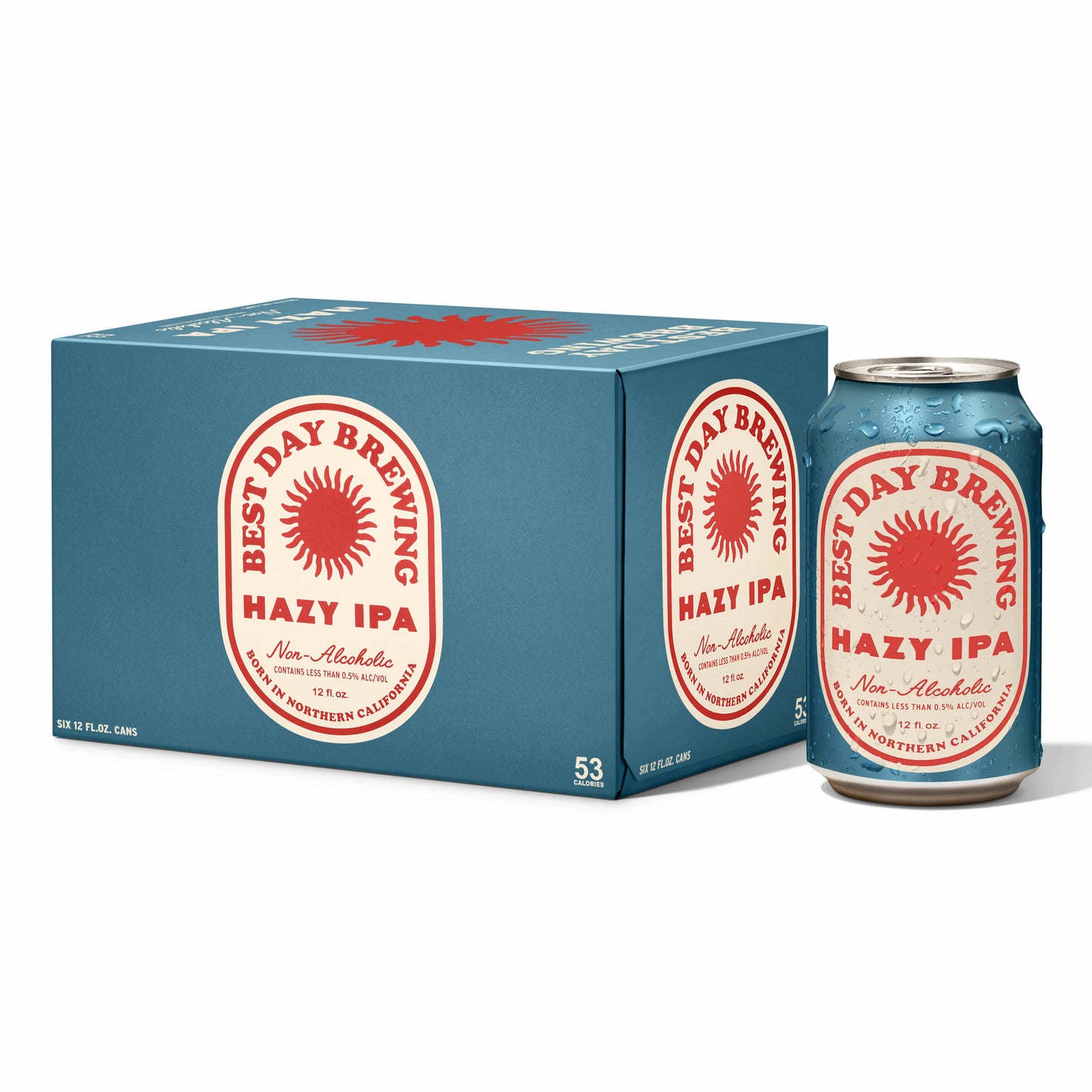 Best Day Brewing - Hazy IPA