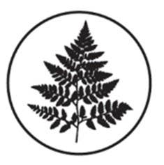 Brass Wax Seal Die - no handle: Oak Tree