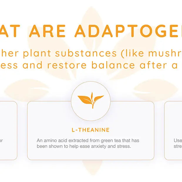 Zenjoy Relaxation - Mango Black Tea