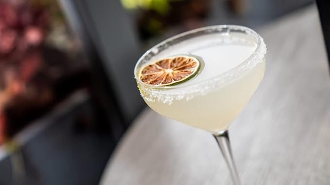 Drink Botanicals - Dehydrated Sliced LIME Cocktail Garnish Wheels