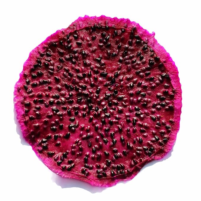 Drink Botanicals - Dehydrated Sliced DRAGONFRUIT Cocktail Garnish Wheels