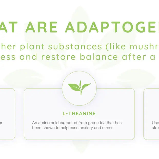 Zenjoy Relaxation - Honey Green Tea