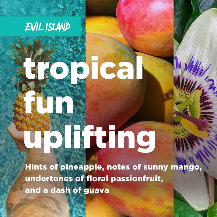 Deadless Elixir - 6 & 12 Pack Variety