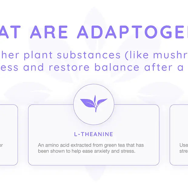 Zenjoy Relaxation - Lavender Black Tea