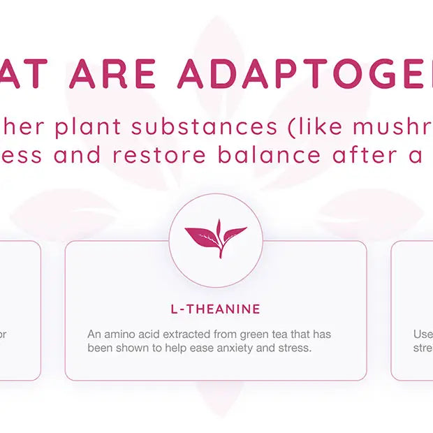 Zenjoy Relaxation - Passion Fruit Green Tea