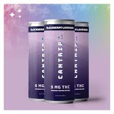 Cantrip Blackberry Lavender - 5 MG THC Infused Seltzer