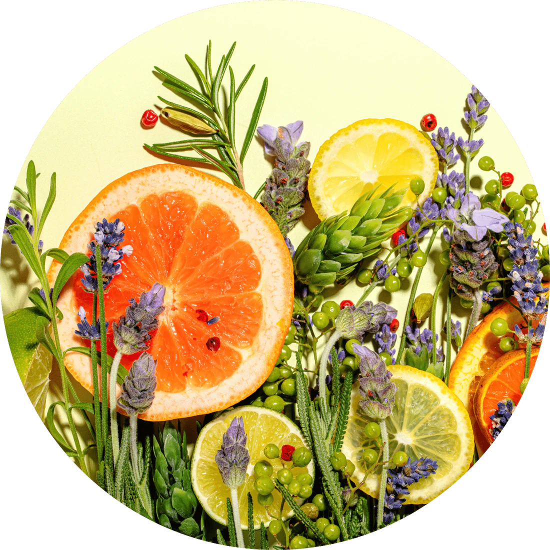 Little Saints - The Communion of Little Saints 6 Pack